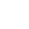 Transportation Needs Icon