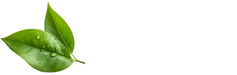 Colon Hydrotherapy of St Petersburg