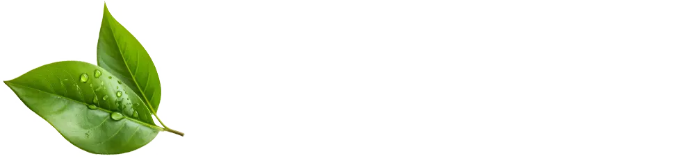 Colon Hydrotherapy